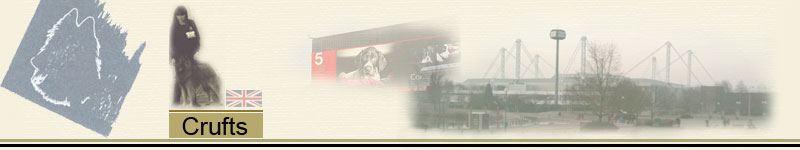 Banner_Crufts